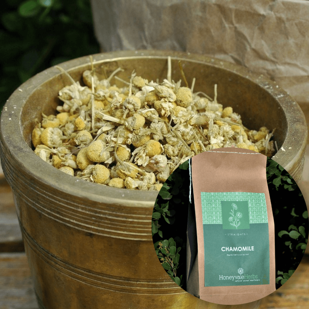 Chamomile