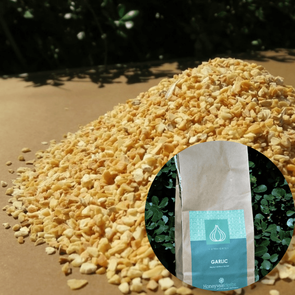 Garlic Granules